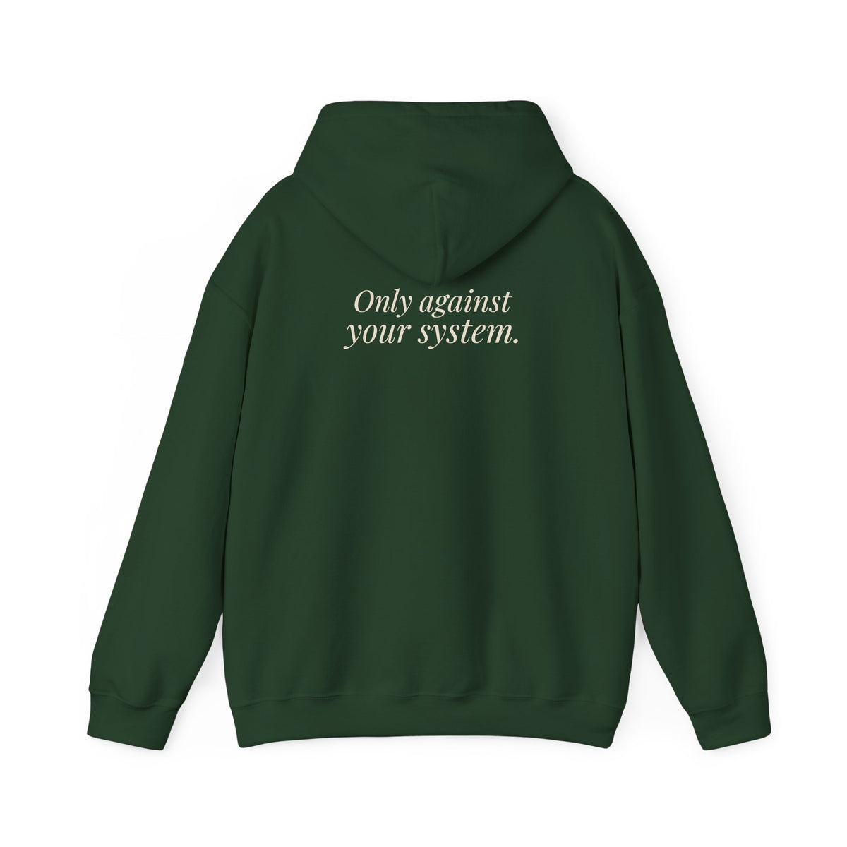"Is the Wheel Rigged?" — Roulette Hoodie
