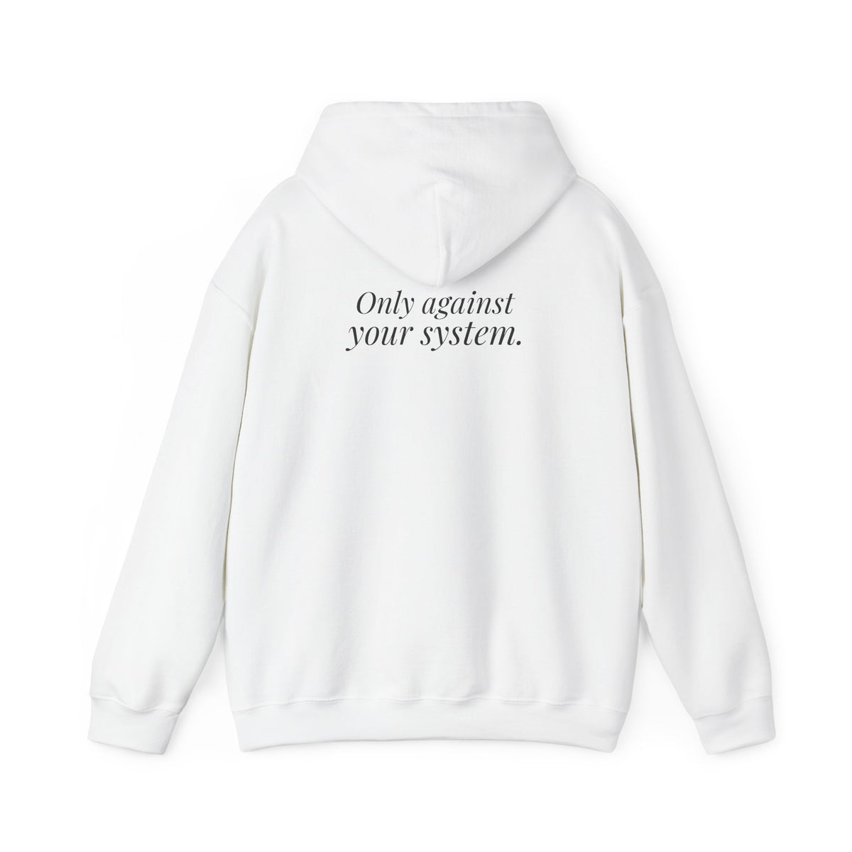 "Is the Wheel Rigged?" — Roulette Hoodie
