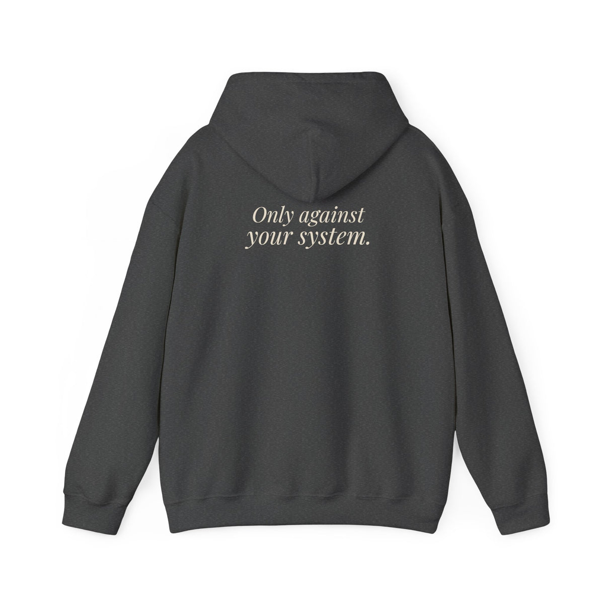 "Is the Wheel Rigged?" — Roulette Hoodie