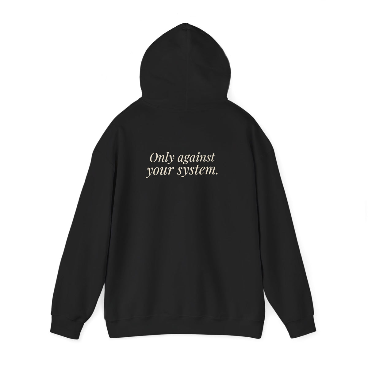 "Is the Wheel Rigged?" — Roulette Hoodie