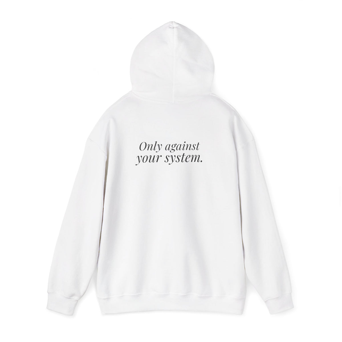 "Is the Wheel Rigged?" — Roulette Hoodie