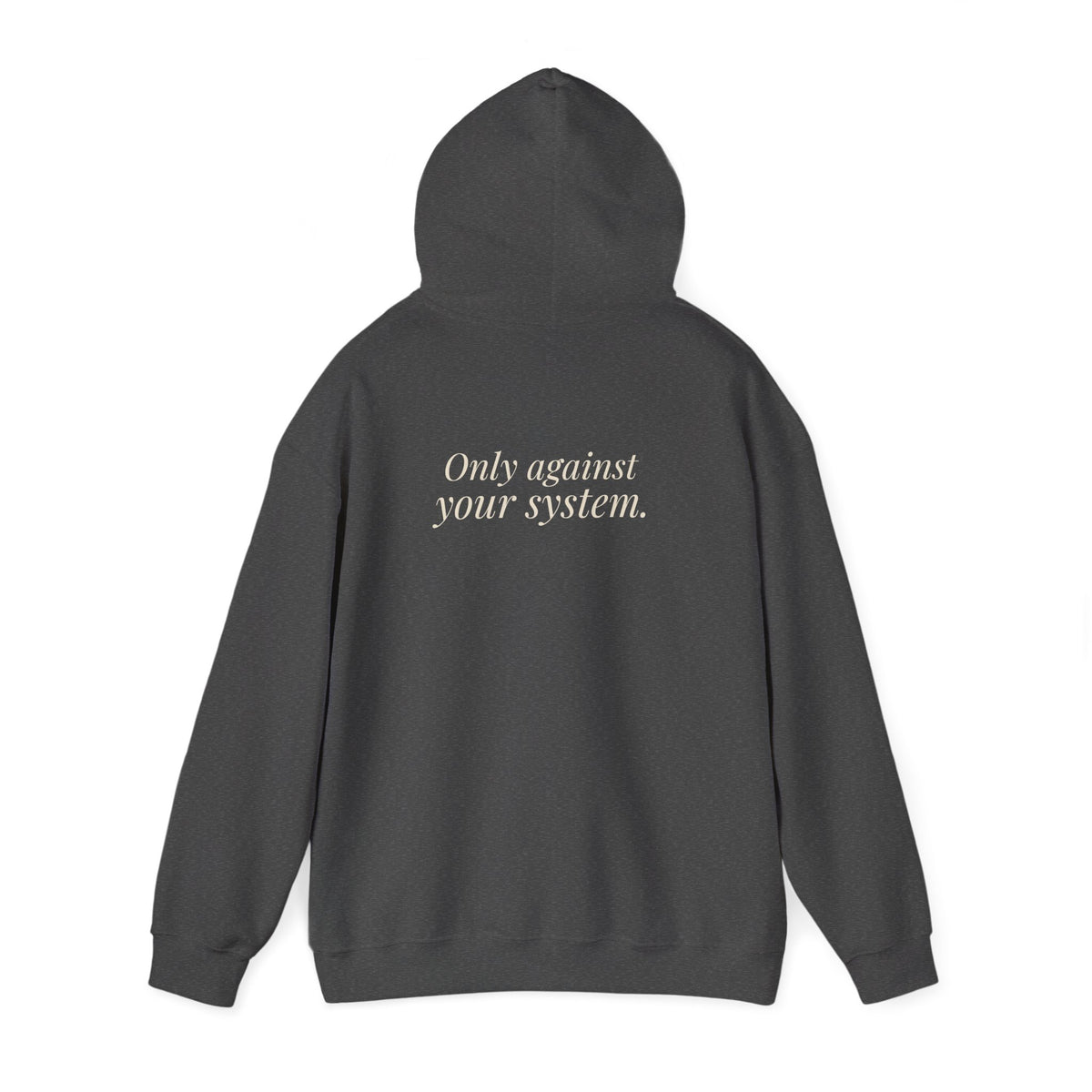 "Is the Wheel Rigged?" — Roulette Hoodie